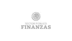 Finanzas Publica